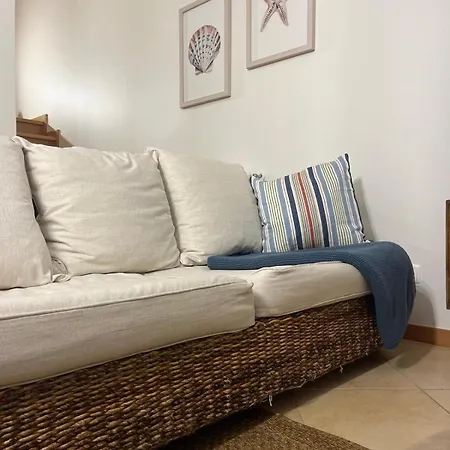 Shell's House